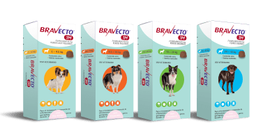 BRAVECTO 1M PERRO1