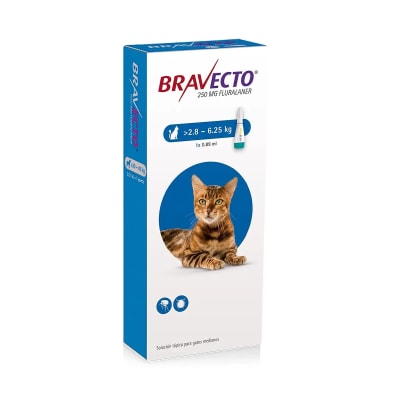 BRAVECTO GATO 2.8 A 6.25 KG (PIPETA ANTIPULGAS)1