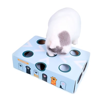 WONDER CAT CAJA INTERACTIVA PARA GATOS1