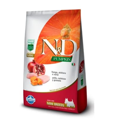 NyD PERRO PUMPKIN ADULTO PEQUEÑO1