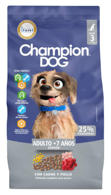 CHAMPION DOG SENIOR1