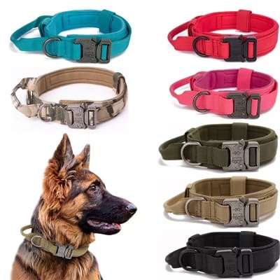 COLLAR TACTICO REFORZADO WONDER PET1