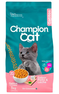 CHAMPION CAT GATITOS1