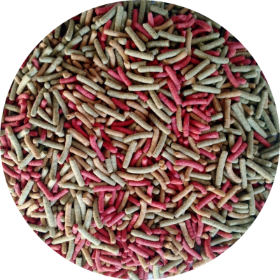 PELLET MIX ALIMENTO TORTUGA/PECES1