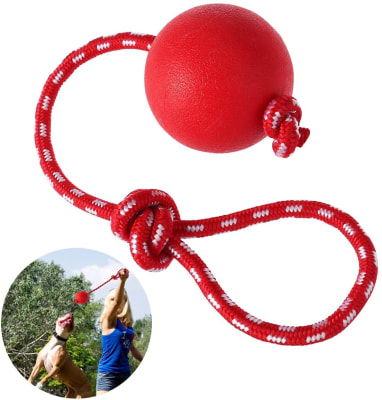 JUGUETE PERRO C/TIRADOR PELOTA MASISA1