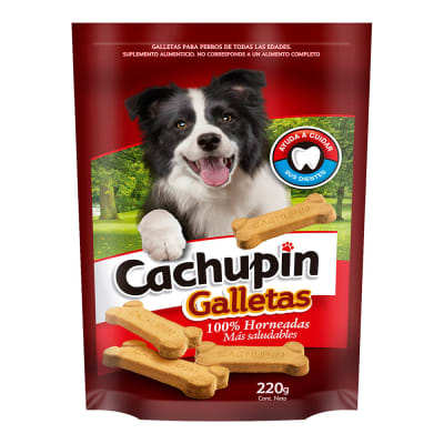 GALLETAS CACHUPIN 220 GRS1