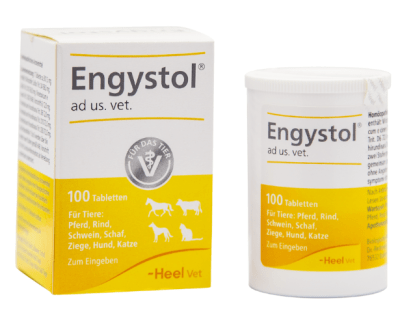 ENGYSTOL VITAMINAS PERROS Y GATOS 100 TABLETAS1