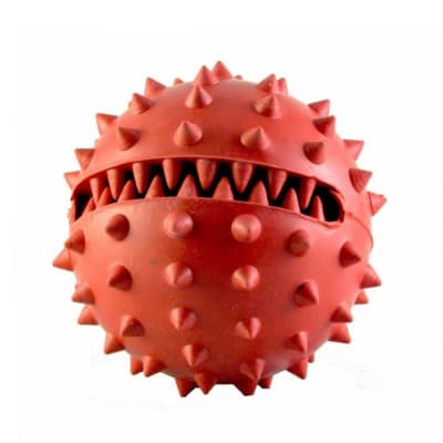 JUGUETE WARRIOR BOLA CON PÚAS PERRO1