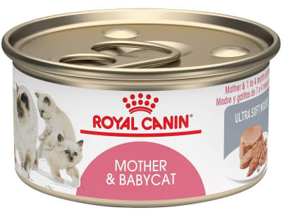 LATA ROYAL CANIN CAT MOTHER AND BABYCAT 145GR1
