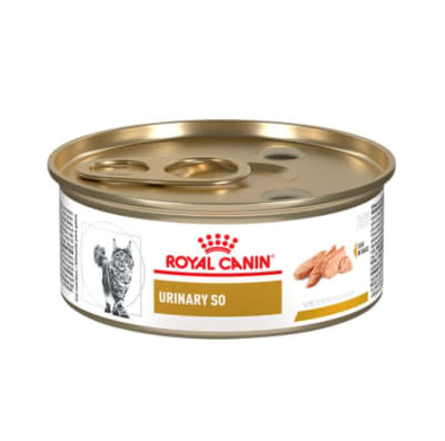 LATA ROYAL CANIN CAT URINARY S/O 145GR1