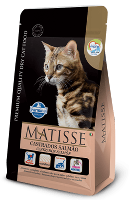 MATISSE GATO ADULTO CASTRADOS SALMON1