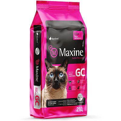 MAXINE GATO ADULTO ESTERILIZADO1