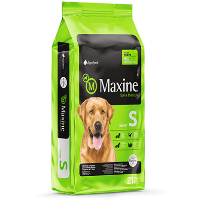 MAXINE PERRO SENIOR 21KG1