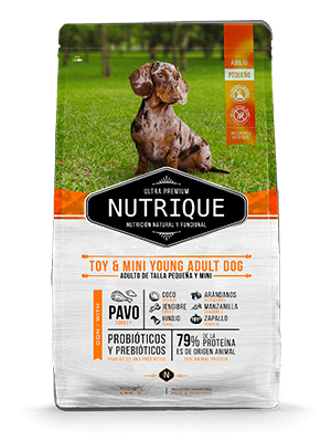 NUTRIQUE TOY & MINI YOUNG ADULT DOG1