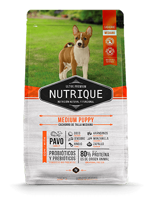 NUTRIQUE MEDIUM PUPPY 12KG1