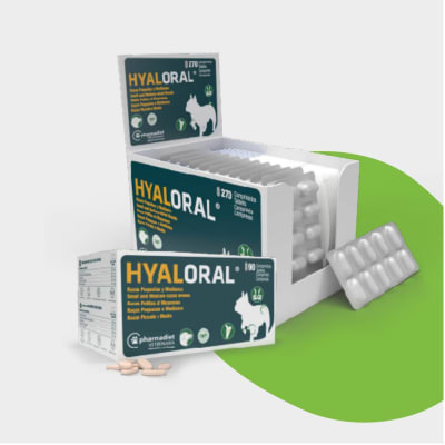 HYALORAL RZA PEQUEÑA Y MEDIANA BLISTER1