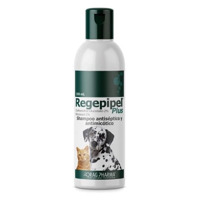 REGEPIPEL PLUS 150 ML  SHAMPOO ANTISEPTICO1