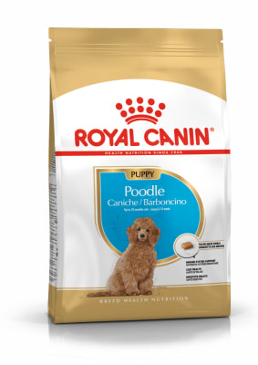 ROYAL CANIN DOG POODLE PUPPY1