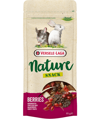SNACK NATURE BERRIES 85GR1
