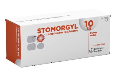STOMORGYL 10 CAJA 10 COMPRIMIDOS1