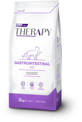 THERAPY GATO GASTROINTESTINAL AID 2KG1