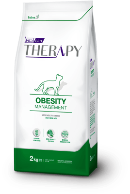 THERAPY GATO OBESITY MANAGEMENT 2KG1