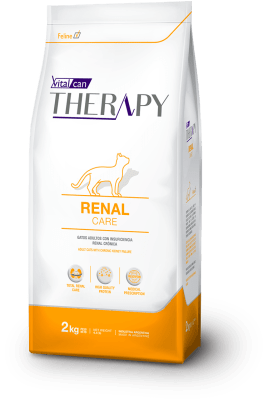 THERAPY GATO RENAL CARE 2KG1