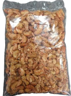 PULGA MAR ALIMENTO TORTUGA1