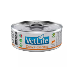 LATA VET LIFE WF GATO CONVALESCENSE