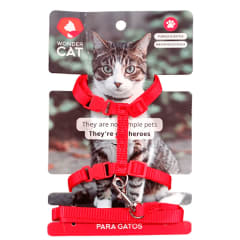 ARNES GATO COLORES
