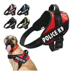 ARNES POLICE K9