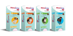 BRAVECTO 1M PERRO