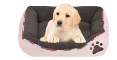 CAMA CHIPORRO RECTANGULAR MARBEN PETS