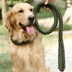 CORREA TRAILLA TRENZADA MARBEN PETS