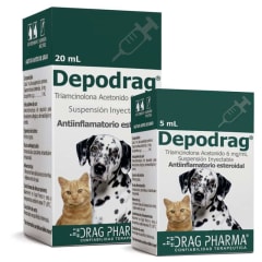 DEPODRAG INYECTABLE 5ML