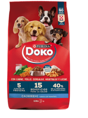 DOKO CACHORRO
