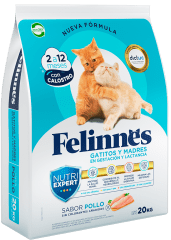 FELINNES GATITOS SABOR POLLO 20KG