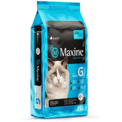 MAXINE GATO ADULTO