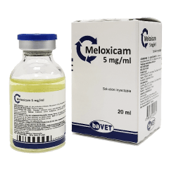 MELOXICAM 5 MG/20 ML