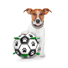 PELOTA DE 18 CM + BOMBIN