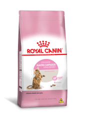 ROYAL CANIN CAT KITTEN CASTRADO 1,5KG