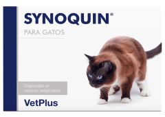 SYNOQUIN CAT