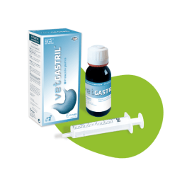 VETGASTRIL 20 ML