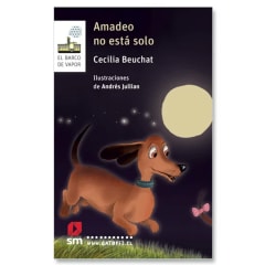 Amadeo no está solo - Cecilia Beuchat, Andrés Jullian