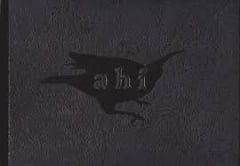 Ahí - Aguilera, Coniña