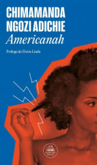Americanah - Chimamanda Ngozi Adichie