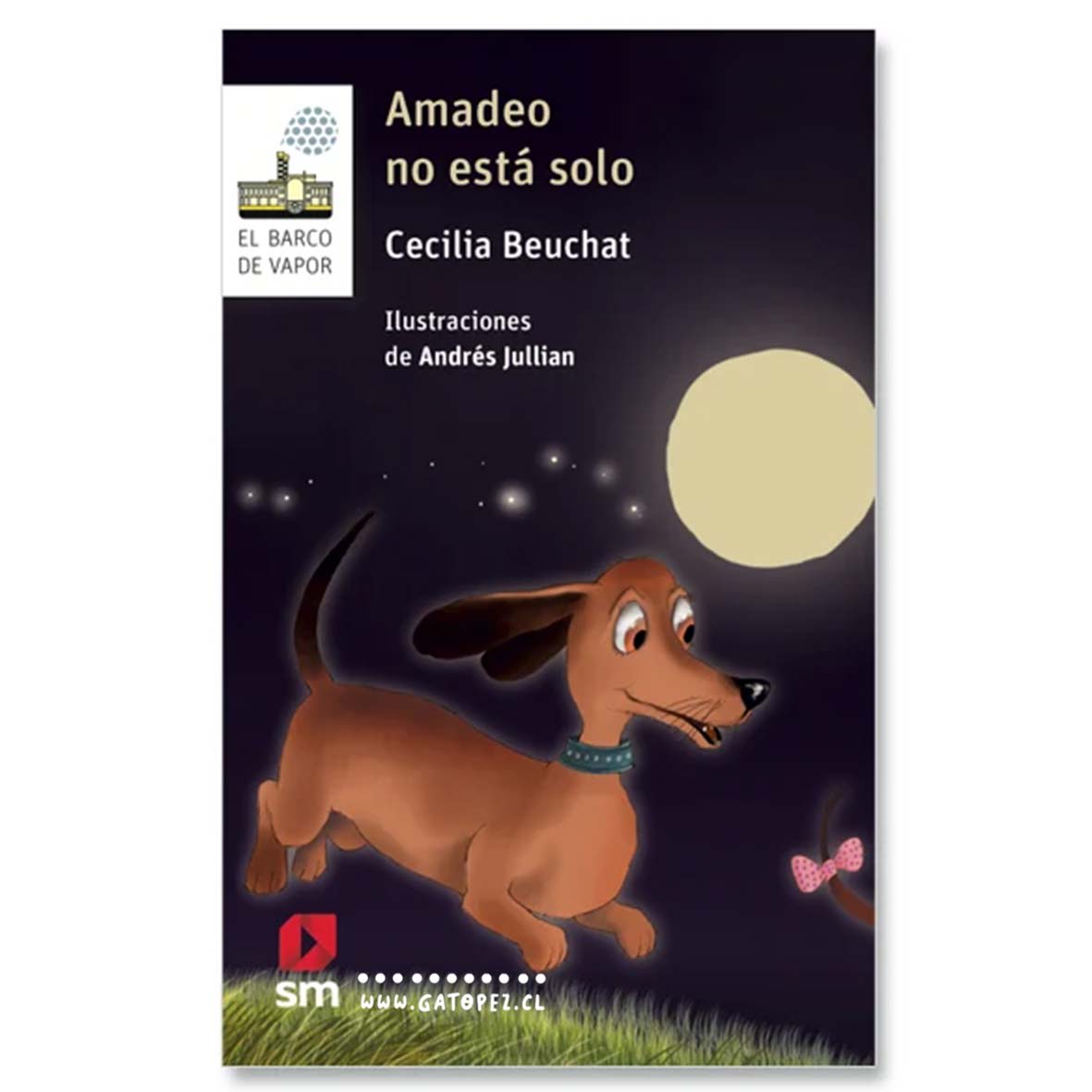 Amadeo no está solo - Cecilia Beuchat, Andrés Jullian1