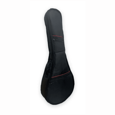 FUNDA ACOLCHADA PARA MANDOLINA O BANJO TIPO MOCHILA1
