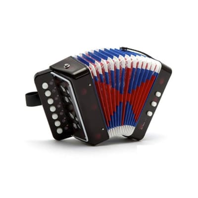 ACORDEON DE NIÑO1