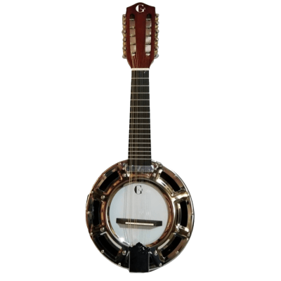 Banjo Electroacústico 10 Cuerdas con Funda GCR® YWBJ1